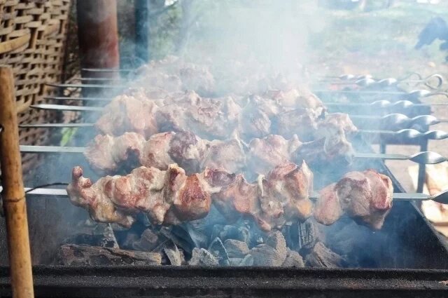    Где можно жарить шашлыки в Новосибирске?