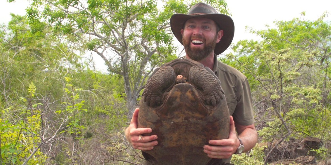 Замороженный зоопарк: почему важно не возрождать, а сохранять