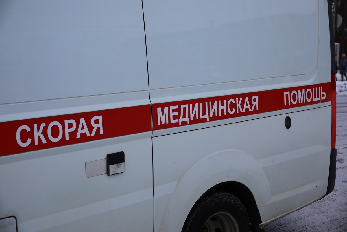    фото: © Столица на Онего