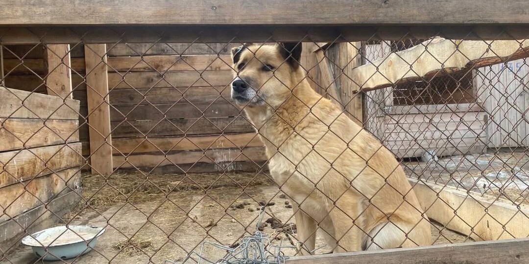 День выплаты зарплаты. Сбор продолжается.