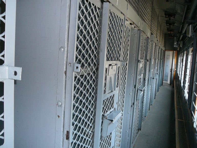    Фото: Габышев Дмитрий Николаевич, CC0, via Wikimedia Commons Анастасия Мишкина