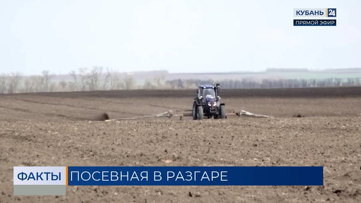    Скриншот видео телеканала «Кубань 24»