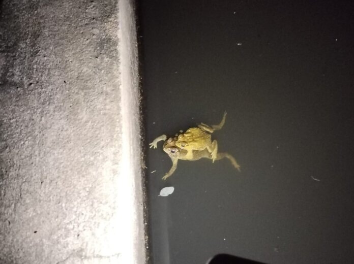    Фото: "В курсе.ру"