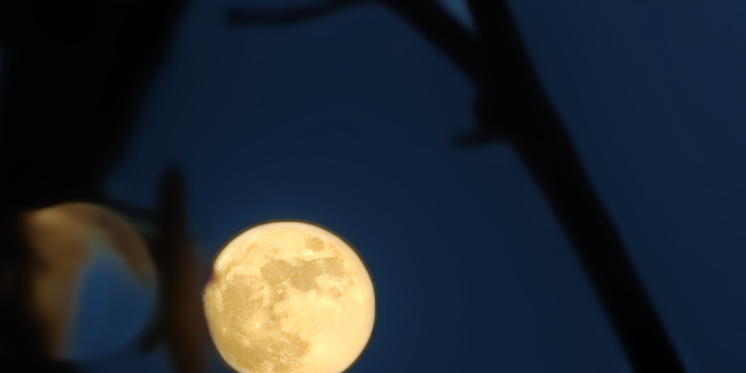 Хотите улучшить свою жизнь?