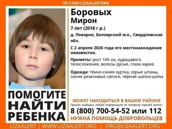 В поселке Новая Поварня ищут семилетнего ребенка ушедшего в лес