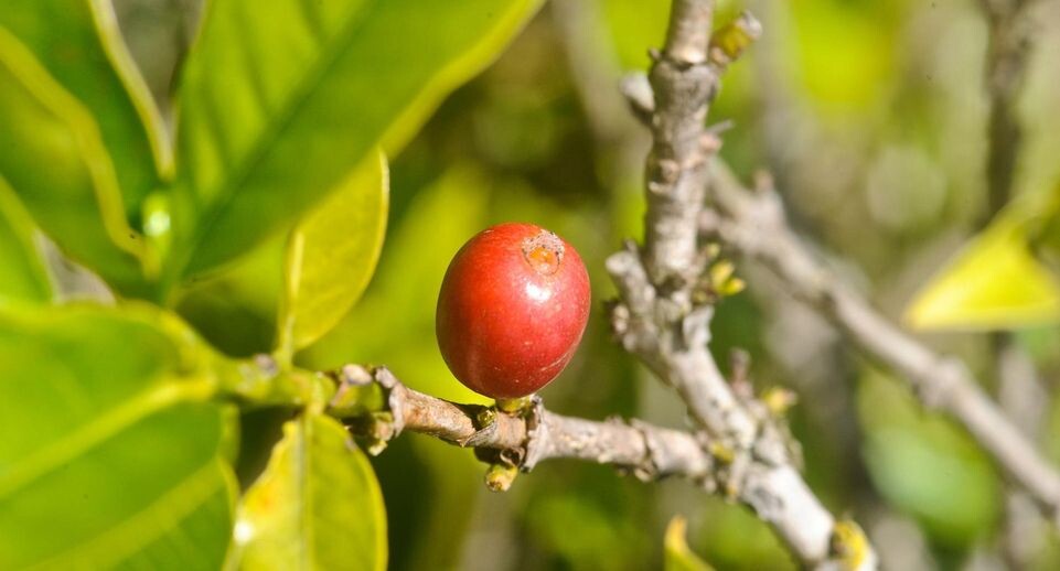    k55/ZUMAPRESS.com / www.globallookpress.com