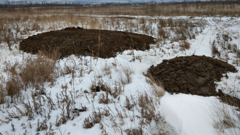     ТУ РСХН по Ниж. обл. и РМЭ и Мордовия