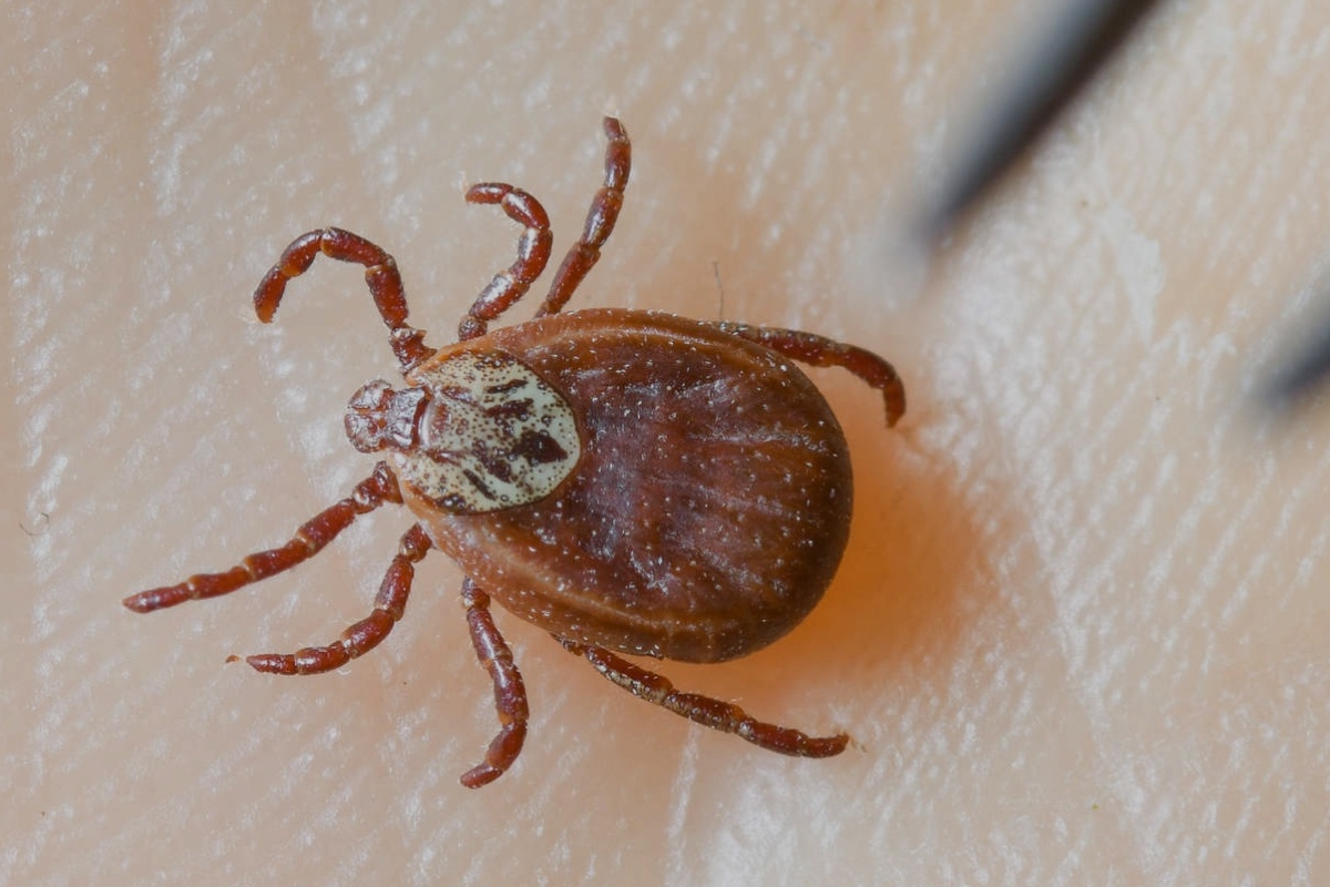    Фото: Global Look Press