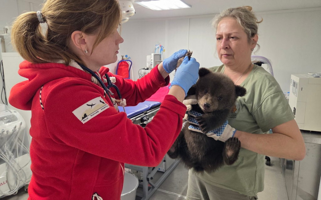  Фото: vk.com/obrcrussia