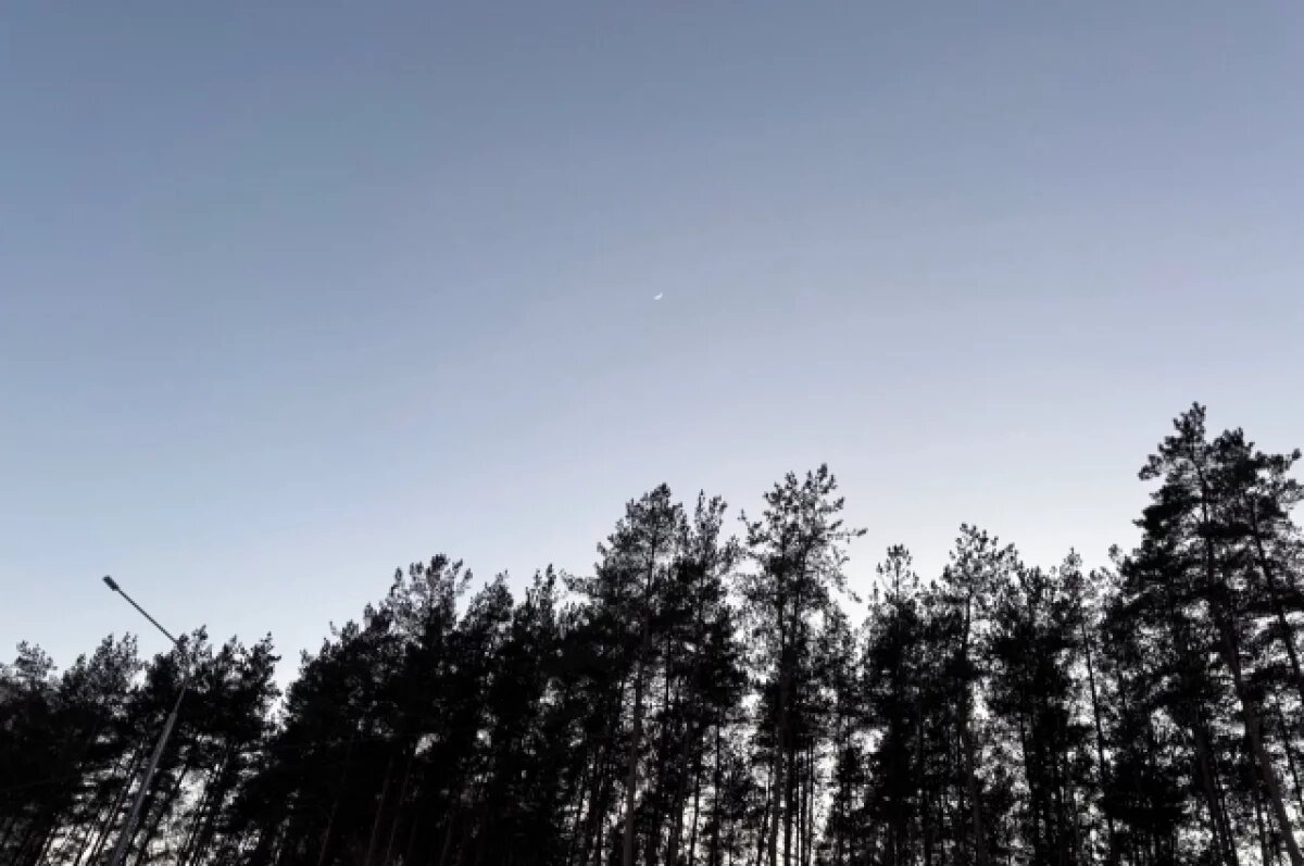    Несколько вражеских БПЛА сбили над Псковской областью в ночь на 3 апреля