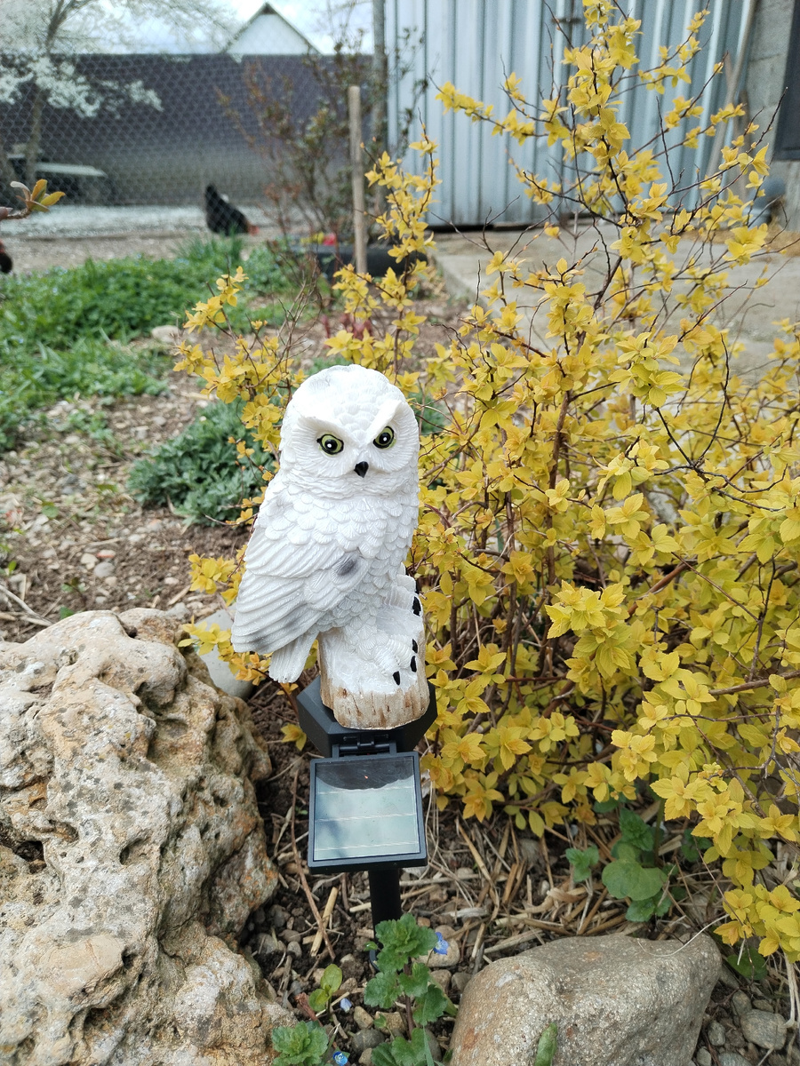 Вот такую светящуюся совушку купила. 