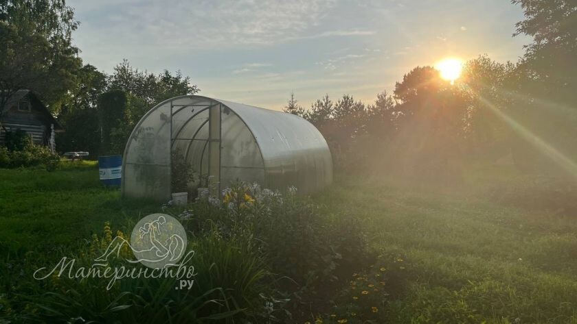    Фото: материнство.ру, архив