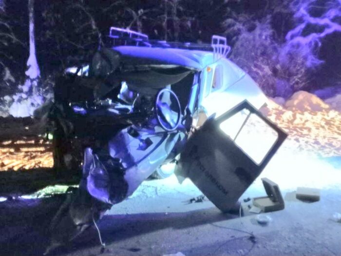 Упавшее дерево стало причиной смертельного ДТП под Судогдой