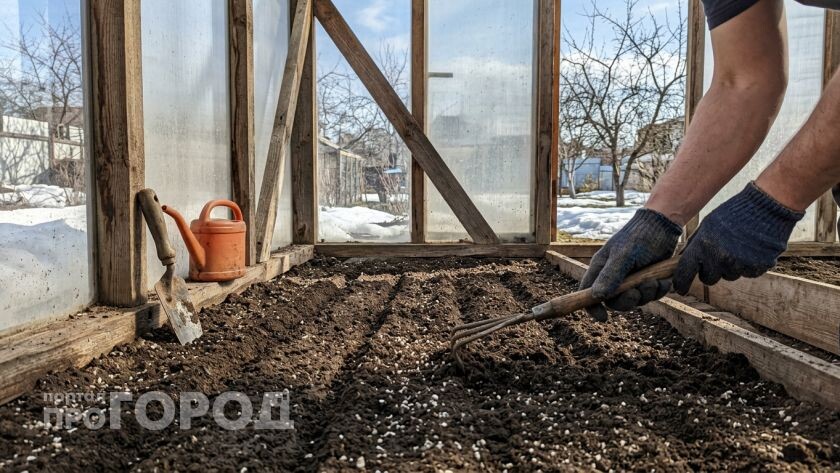    Фото ИИ Про Город