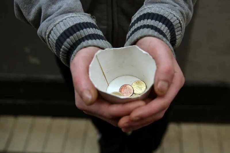 Почему я не рекомендую использовать стеллы на дзене...и что это вообще такое