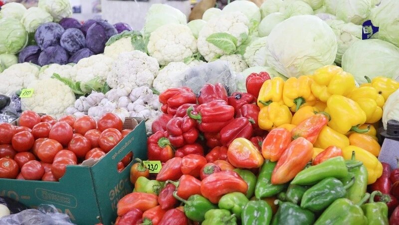      Фото: Дмитрий Ахмадуллин / / ИА «Победа26»