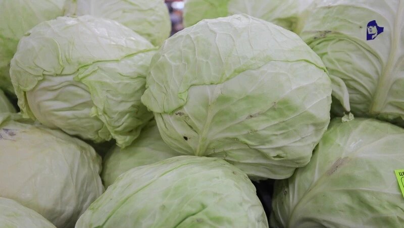    На ярмарках продают свежую продукцию от местных производителей Фото: Дмитрий Ахмадуллин / / ИА «Победа26»