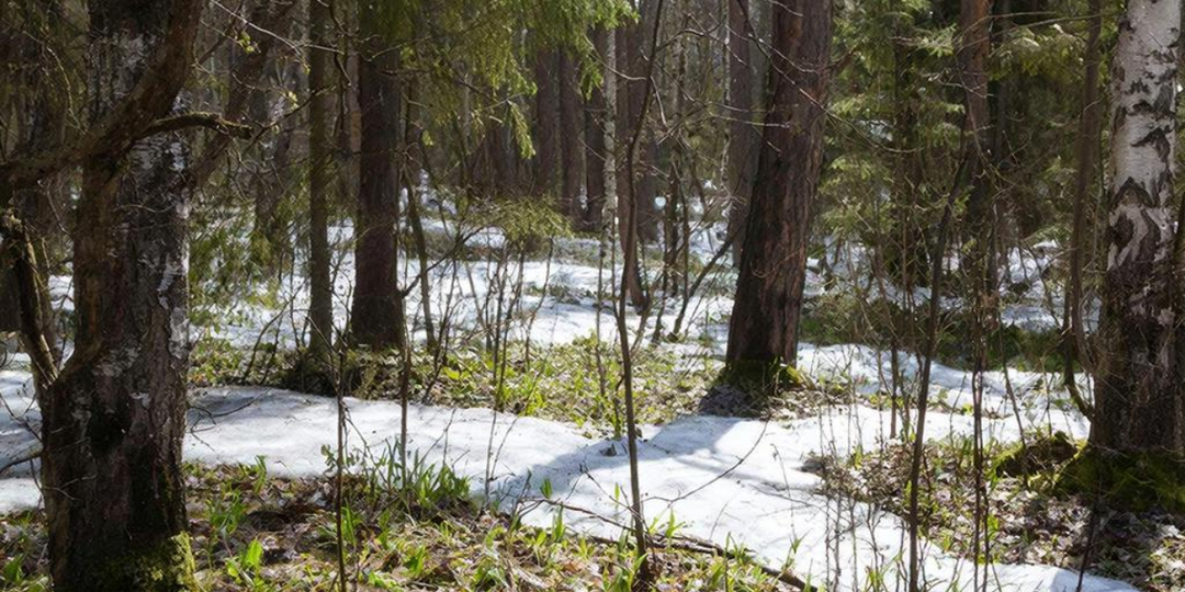 3 апреля – Фомин день: эти запреты нарушать нельзя, иначе отвернется удача