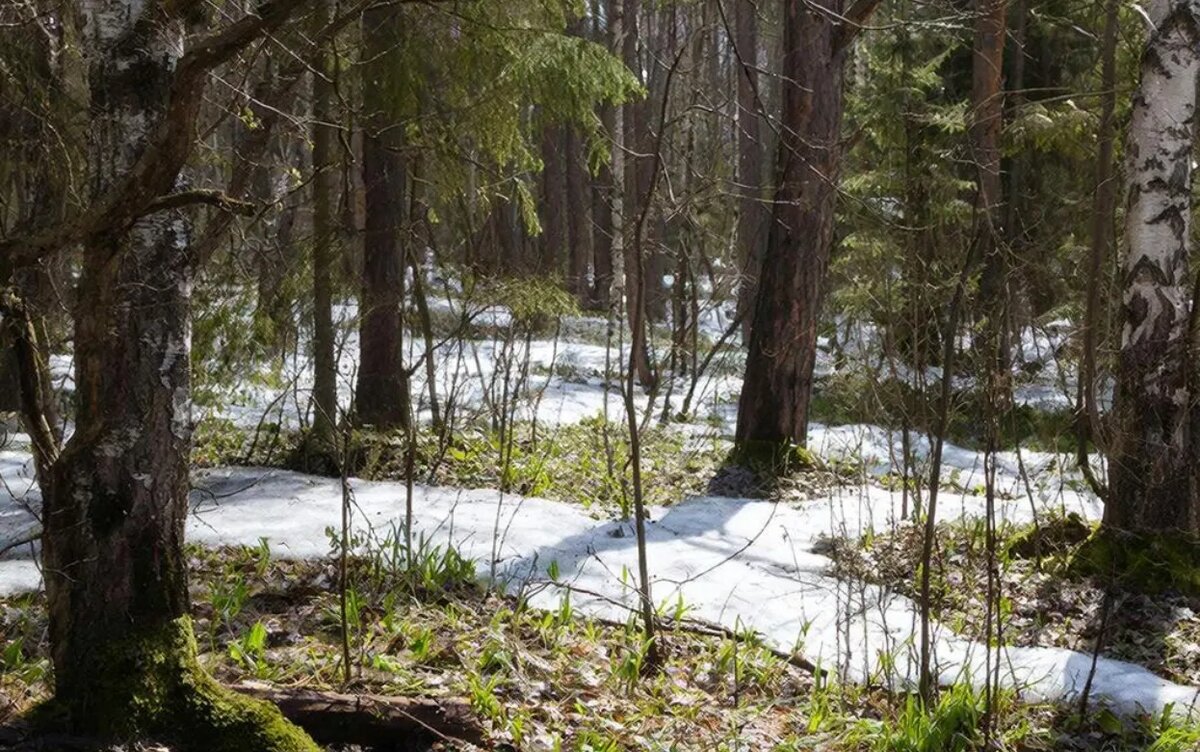    3 апреля – Фомин день: эти запреты нарушать нельзя, иначе отвернется удача