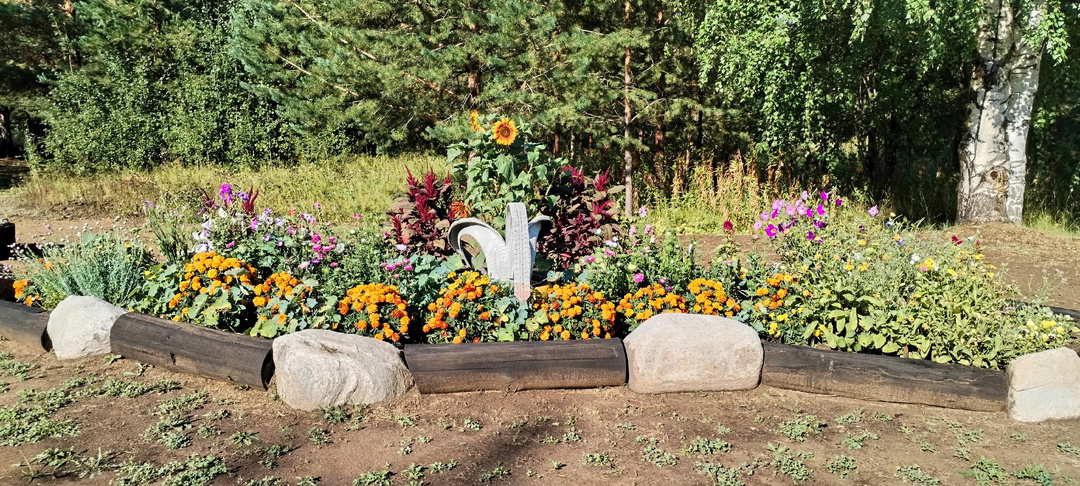 «Цветочный гений», или Как я за один сезон уничтожила всё, что посадила