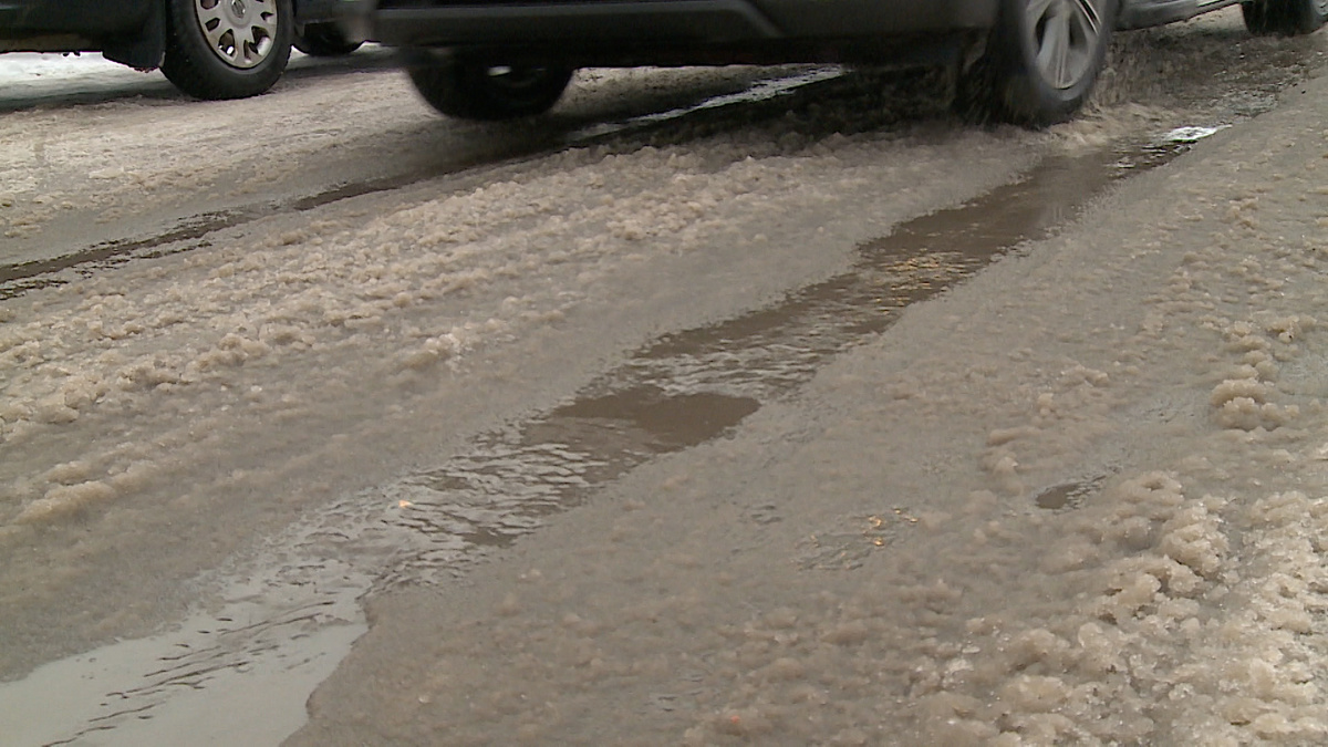    Фото: ГТРК Карелия