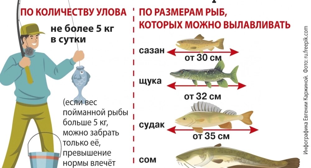 Новые рыболовные правила 2026: за какую рыбу теперь штрафуют и что изменилось