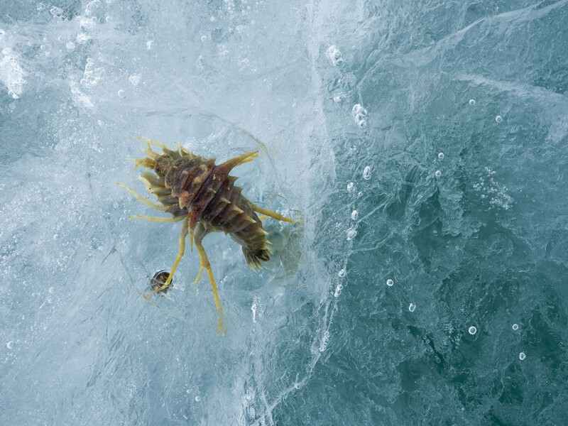 © Фото: Дмитрий Павлов