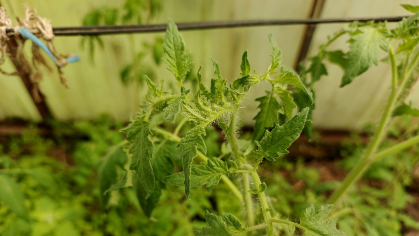    фото smilekaluga.ru