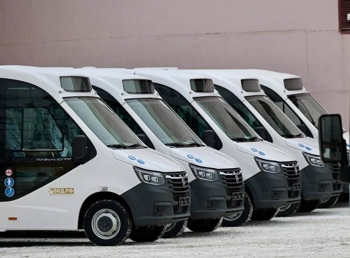    Telegram канал Дениса Паслера