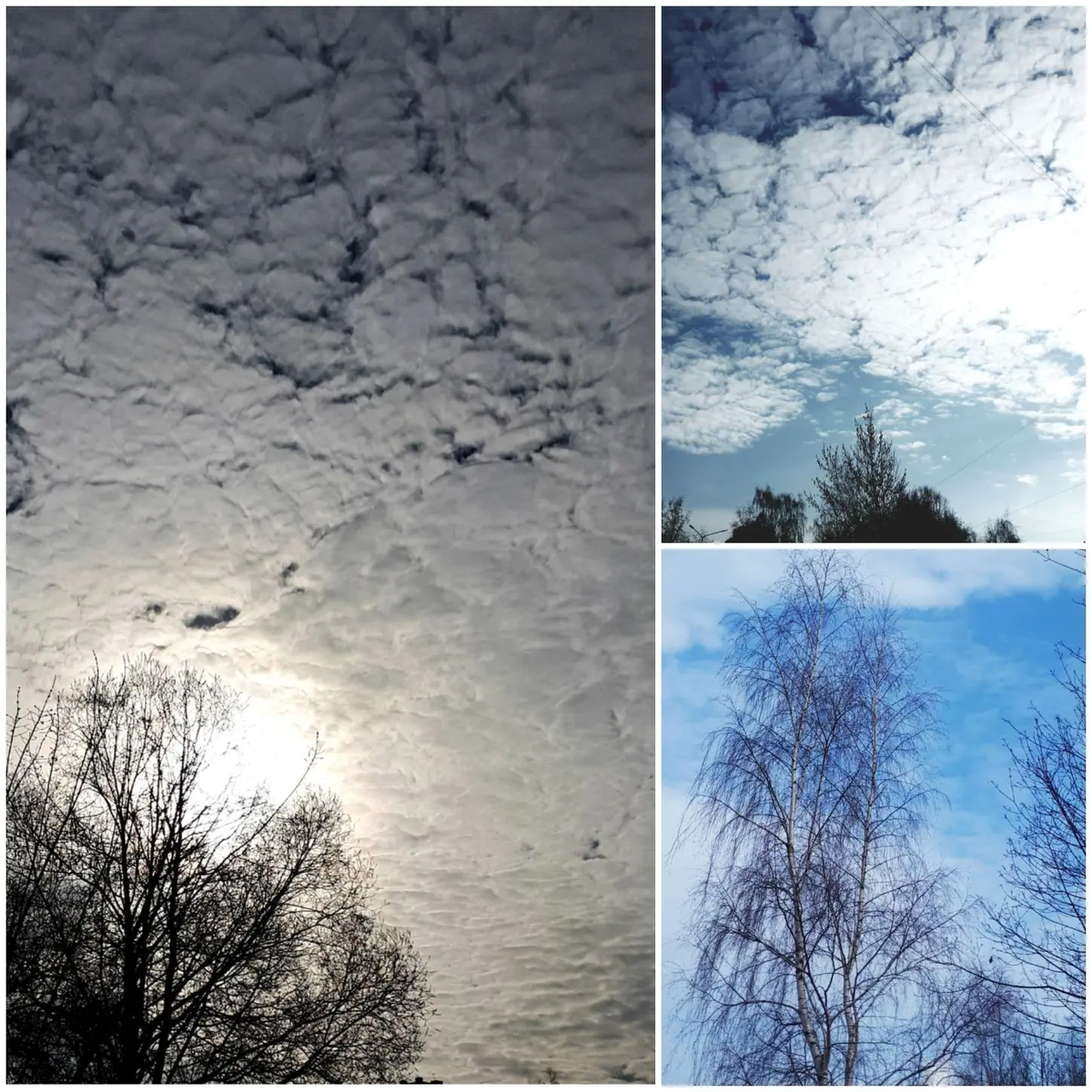 Коллаж автора статьи 03.04.2026г.