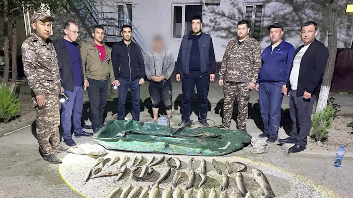 Национальный комитет по экологии и изменению климата