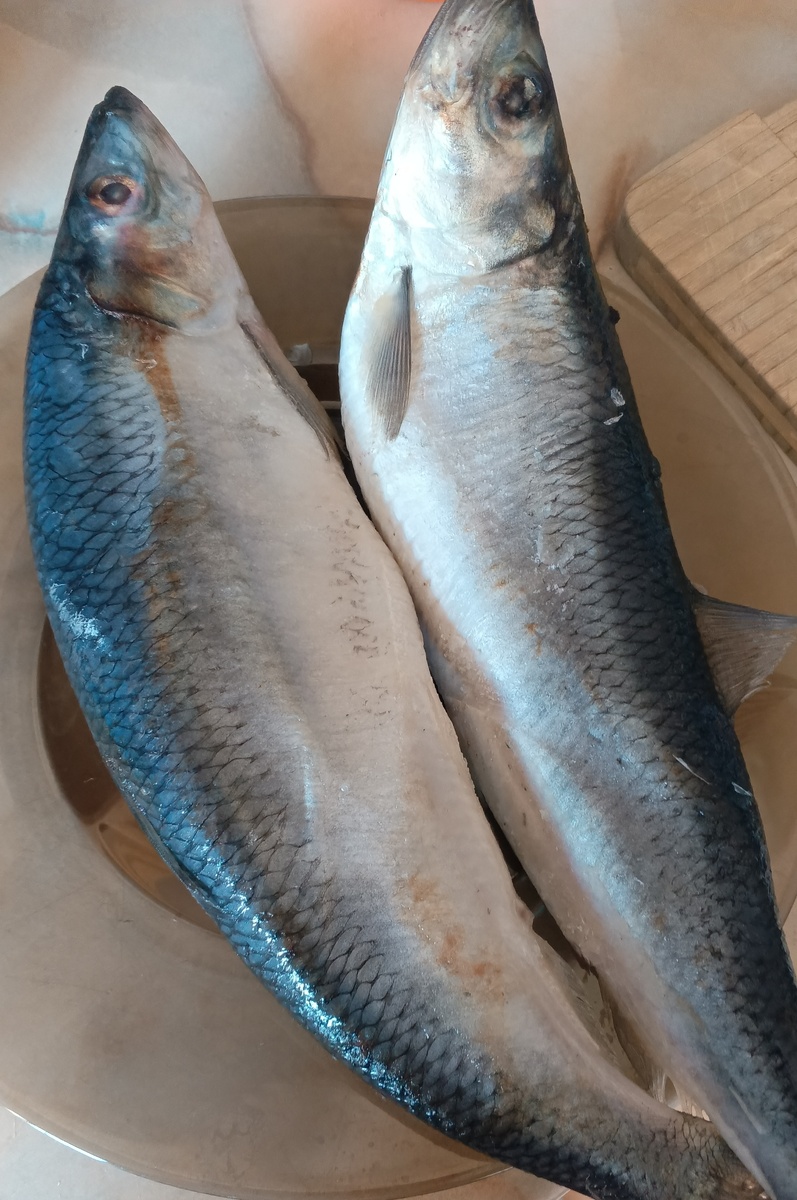 фото автора: куплены две селёдки с икрой