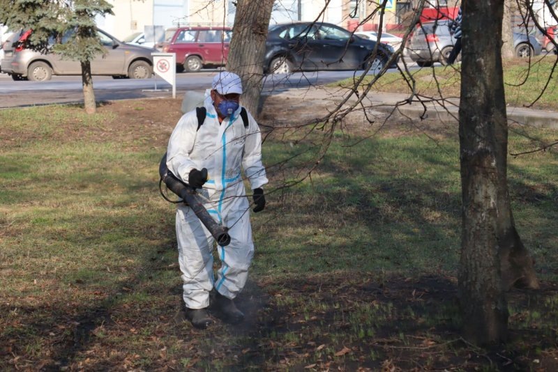     © Фото: Александр Баламутов