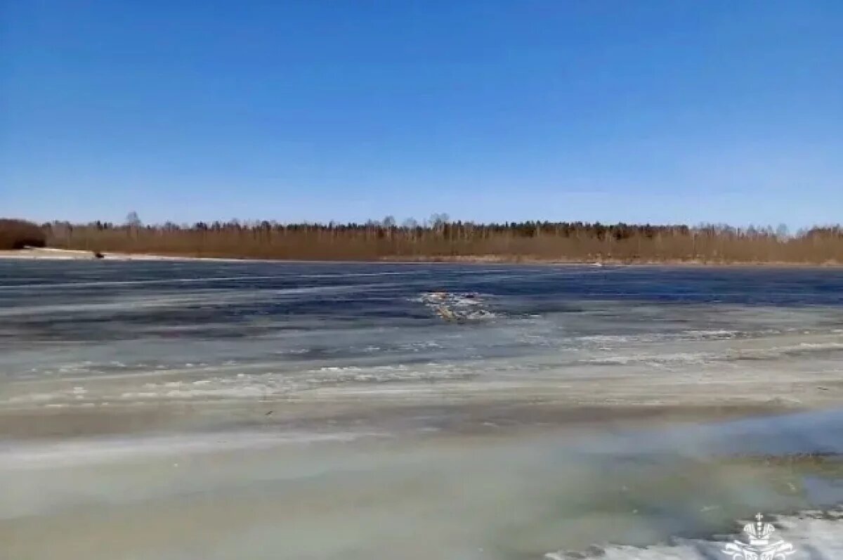    В Коми спасли двух мужчин, провалившихся под лёд