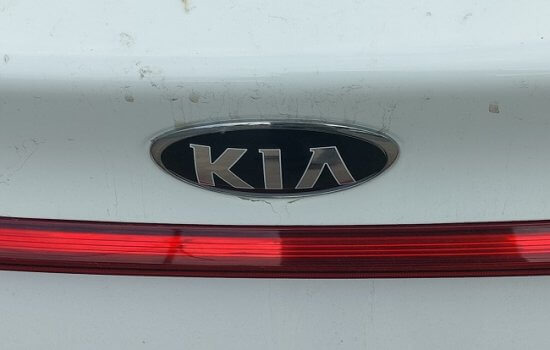    Фото: ИА «Орелград»