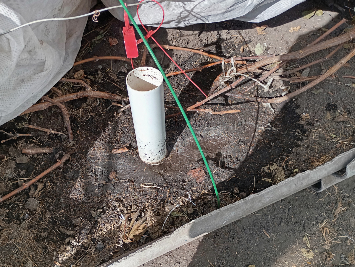 Фото автора.