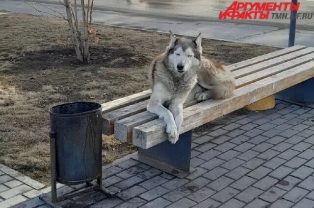    Фото: Личный архив Юлии Фомичевой