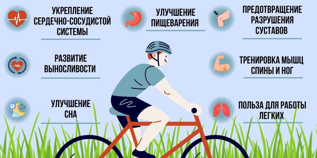 Адаптация организма к ежедневным велопрогулкам (10 км, 30 дней)