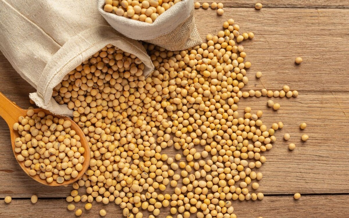    Рынок сои перегревается: экспорт в Иран и Китай снижает запасы и разгоняет цены Фото – ru.freepik.com
