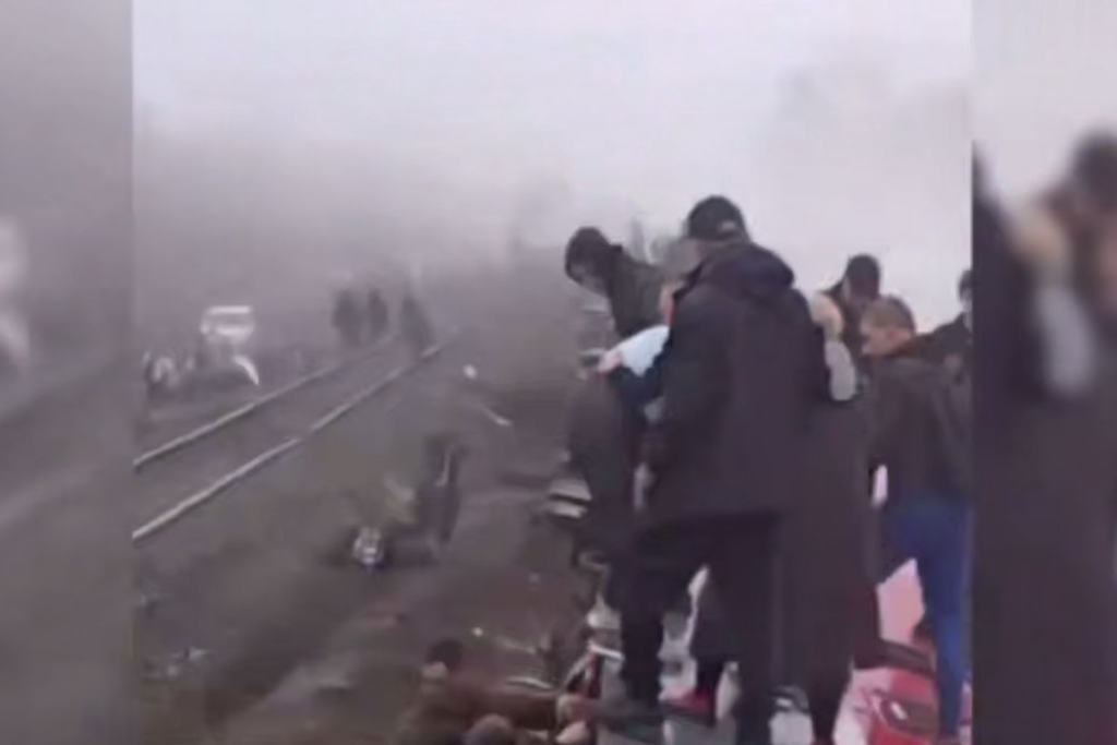    Фото © Telegram / Янка Гордеева / Бобродомик