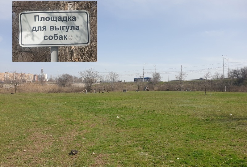 Даже у детей такого нет: по новым правилам Волгодонск должен строить специальные городки для собак