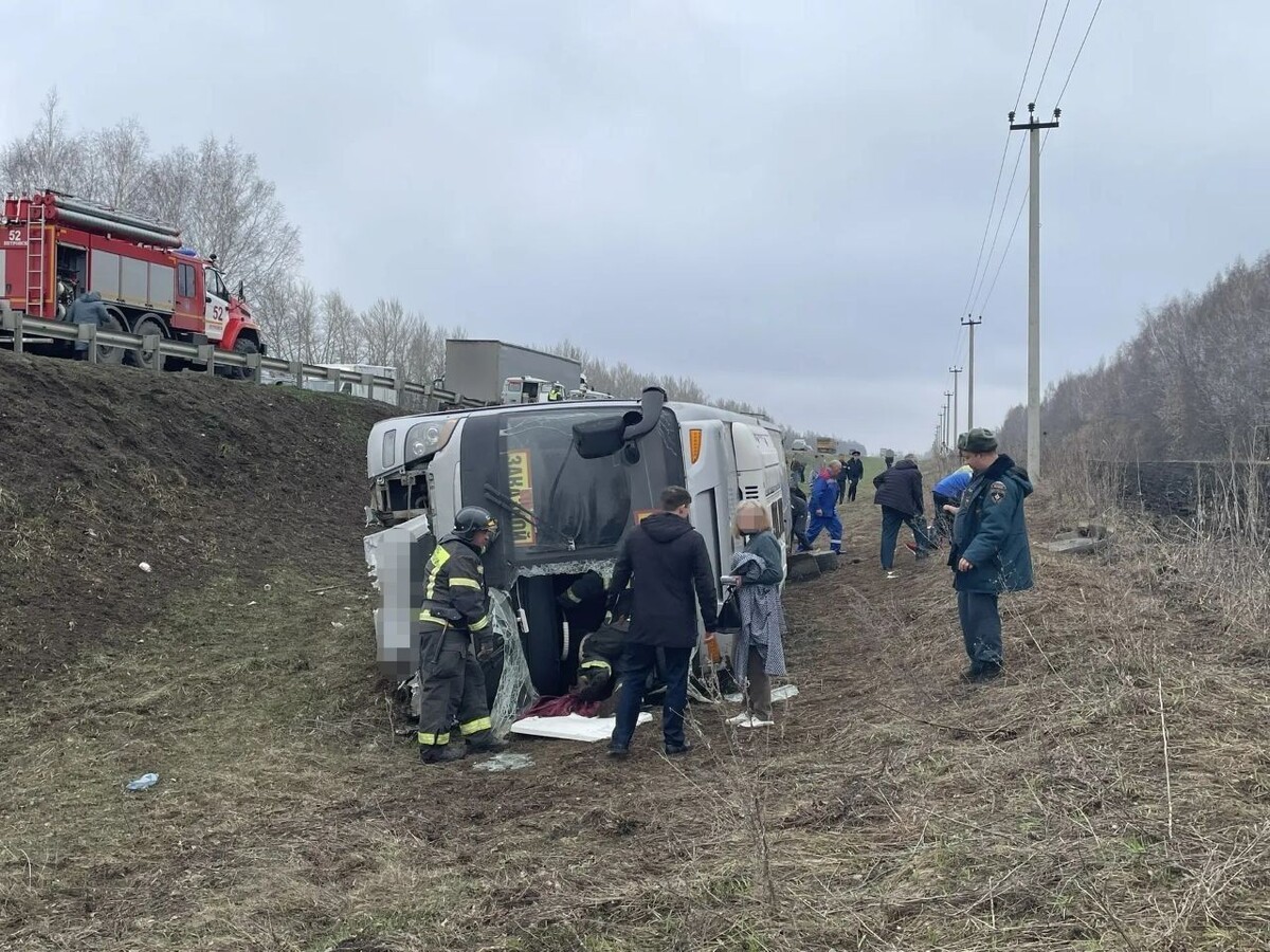     / Источник: Социальные сети