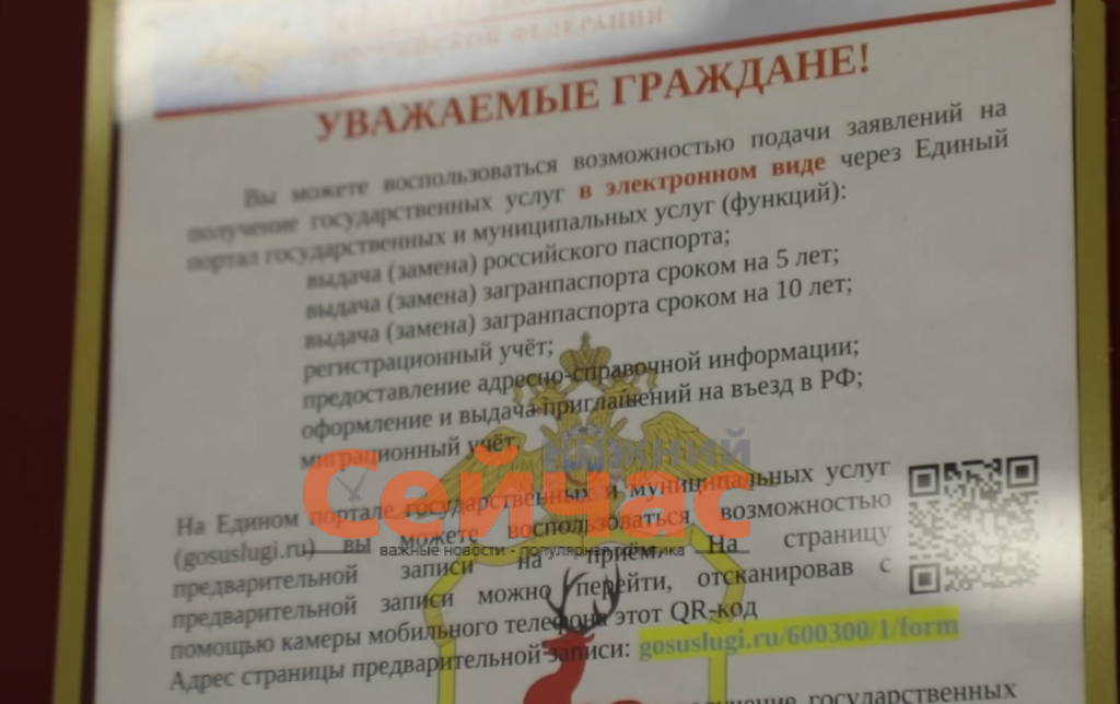    Фото: ГУ МВД по Нижегородской области Иван Воробьев