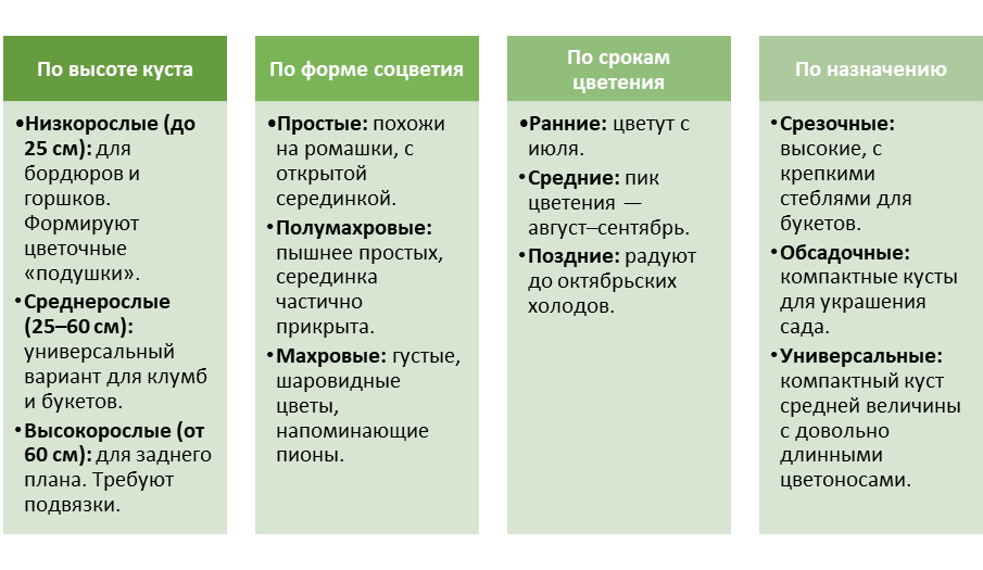 Классификация астр