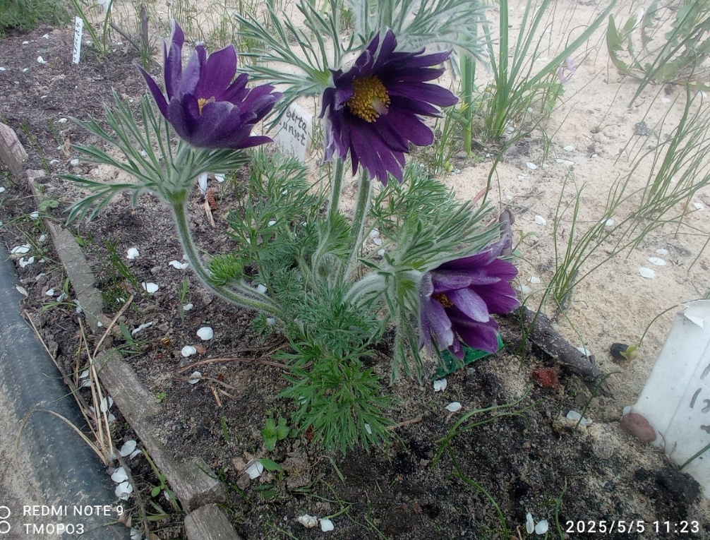 дальше по тропе