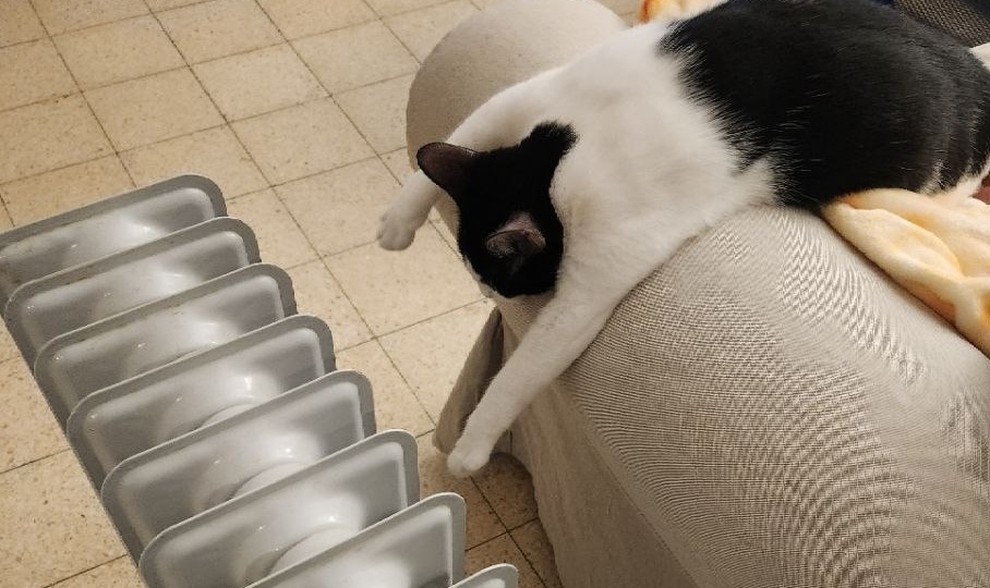 День, неделя, месяц, год...