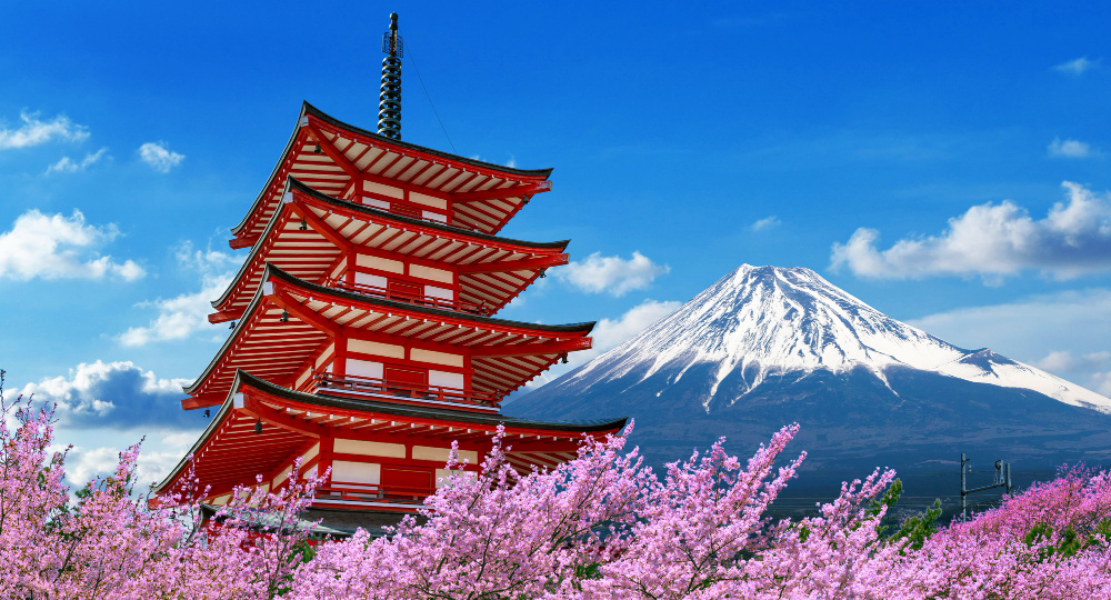 Токио делает ставку на элитный туризм, чтобы избавиться от наплыва туристов