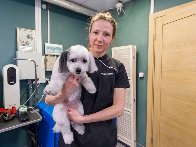    Фото: портал мэра и правительства Москвы