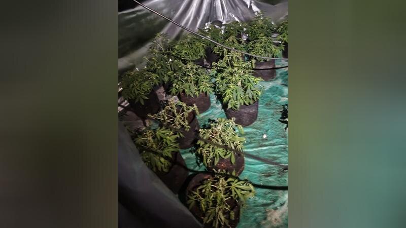    Фото: пресс-служба ГУ МВД России по Санкт-Петербургу и Ленинградской области