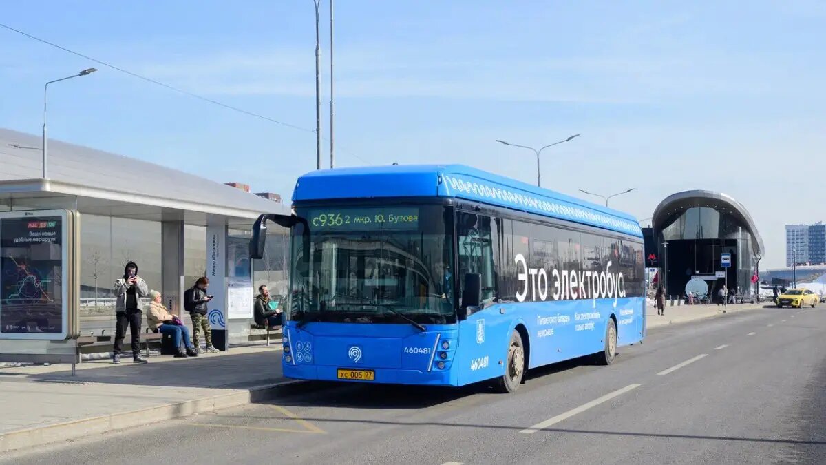    Источник: vm.ru/ Ярослава Мухина